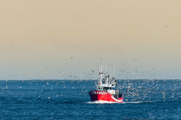 Illustration de l'actualité Pêche en Méditerranée : publication des quotas d’effort de pêche pour 2023