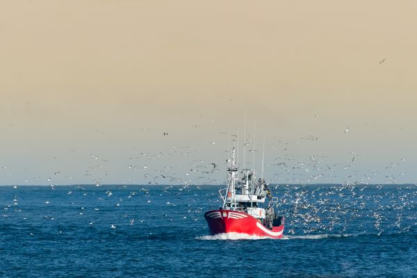 Illustration de l'actualité Pêcheurs : une nouvelle aide pour faire face à la flambée des prix de l’énergie