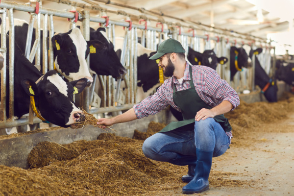 Illustration de l'actualité Agriculture : un plan pour l’élevage français