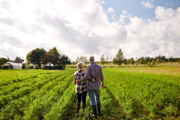 Illustration de l'actualité Retraite des non-salariés agricoles : bientôt un nouveau mode de calcul !