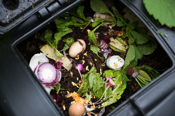 Illustration de l'actualité Tri des déchets alimentaires : la nouvelle obligation des particuliers