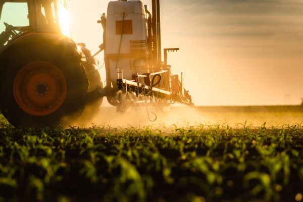 Illustration de l'actualité Prosulfocarbe : herbicide toujours autorisé, mais plus encadré