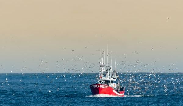 Illustration de l'article Pêche en Méditerranée : publication des quotas d’effort de pêche pour 2023