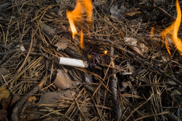 Illustration de l'actualité Prévention des incendies de forêts : la responsabilité élargie des producteurs (REP) du tabac est mise au travail !